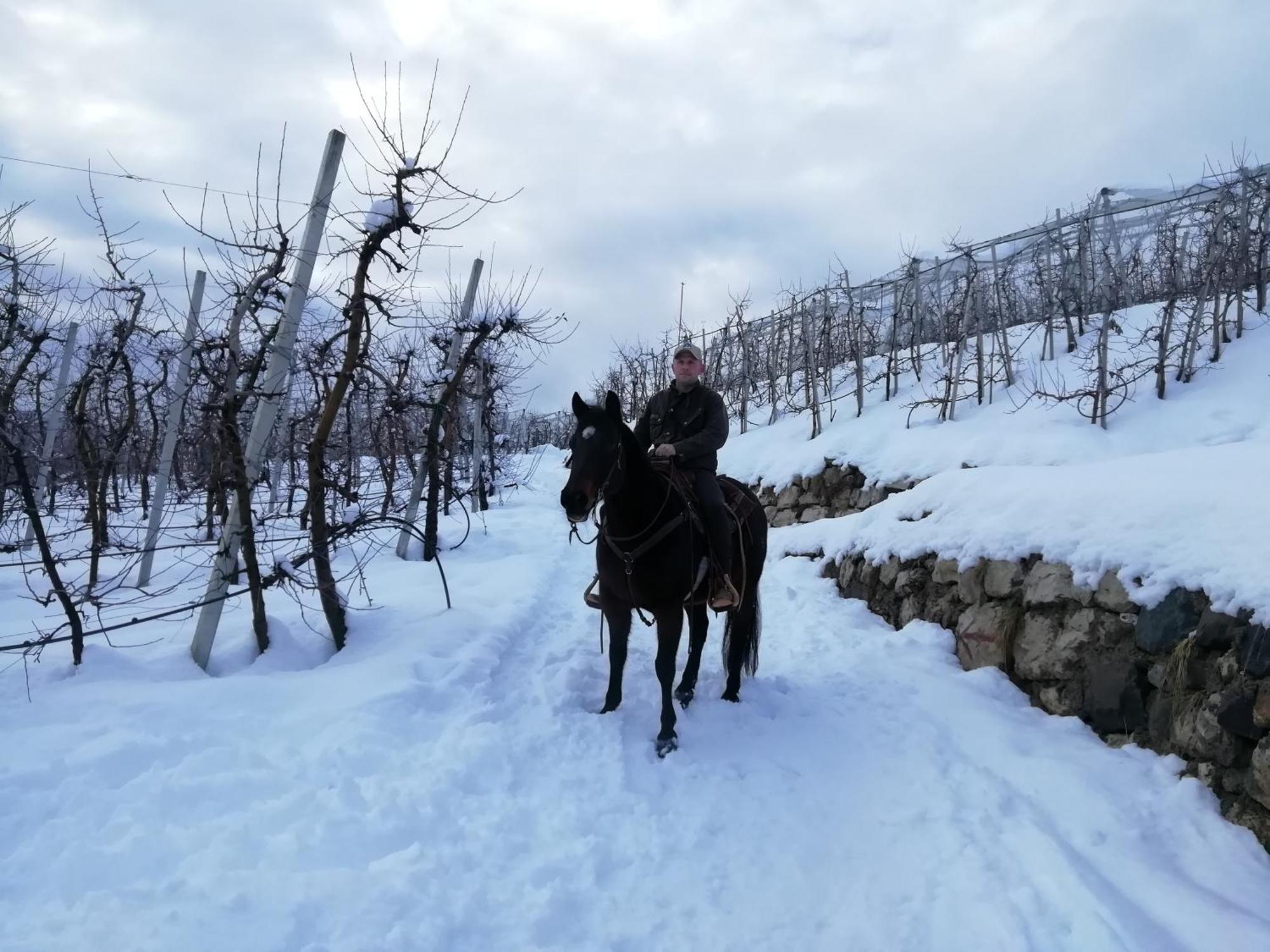 Bed and Breakfast Horse House Romallo Екстер'єр фото