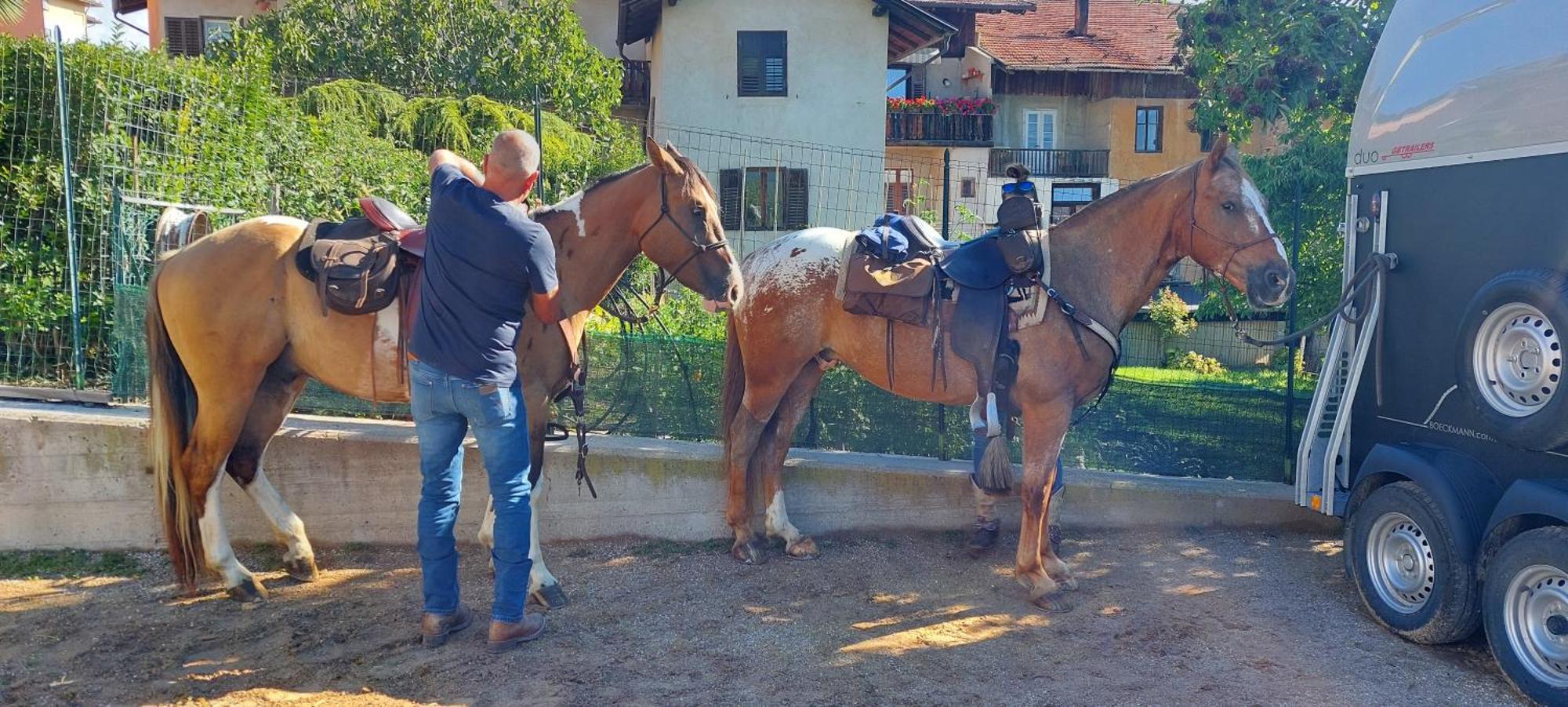 Bed and Breakfast Horse House Romallo Екстер'єр фото